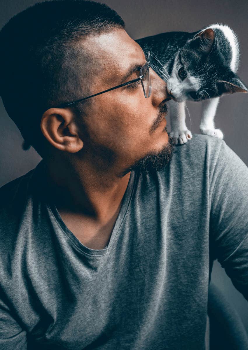 cat nose touch a man's face