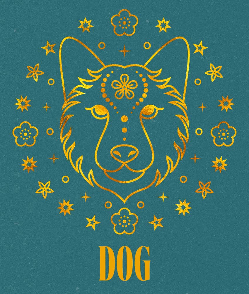 dog hard times end chinese zodiac signs april 6, 2026