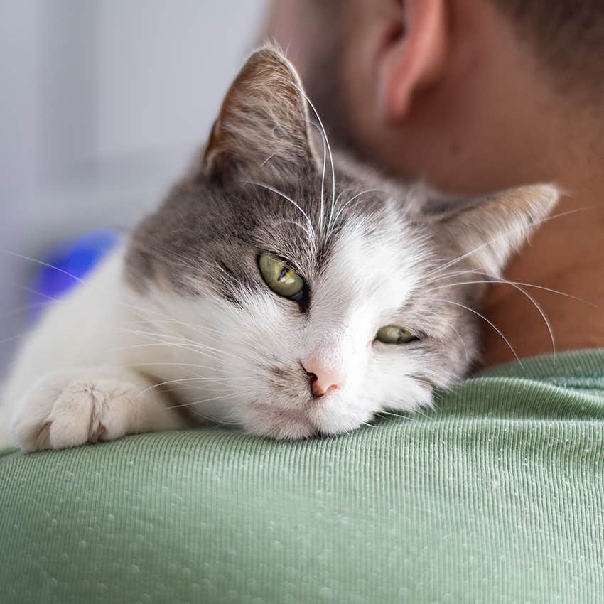 cat resting head on man's shoulder lovingly