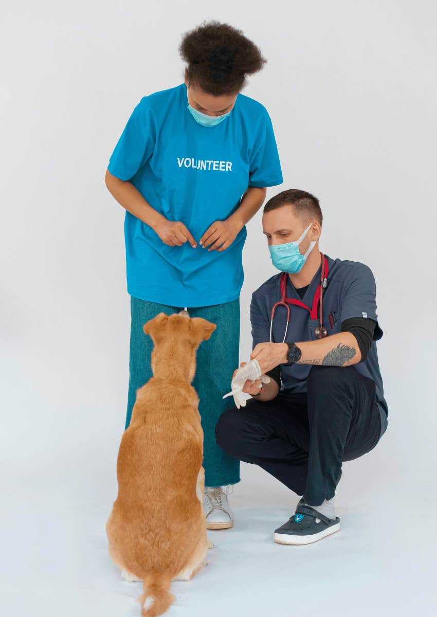 confident people who volunteer don't waver under pressure