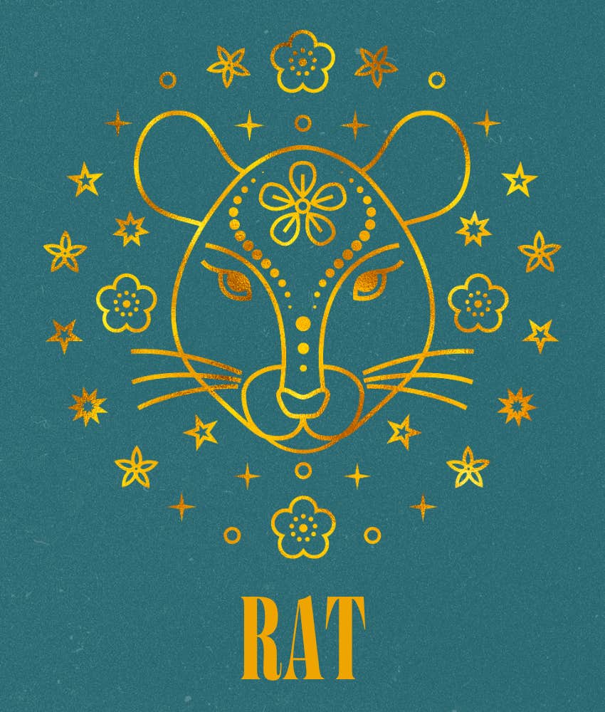 rat everything falls place chinese zodiac signs april 4, 2026