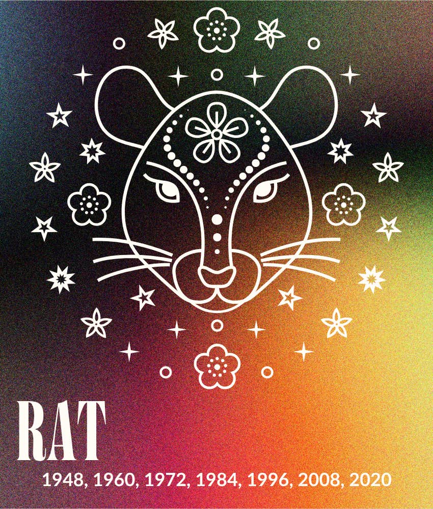rat everything falls place chinese zodiac signs may 4 - 10, 2026