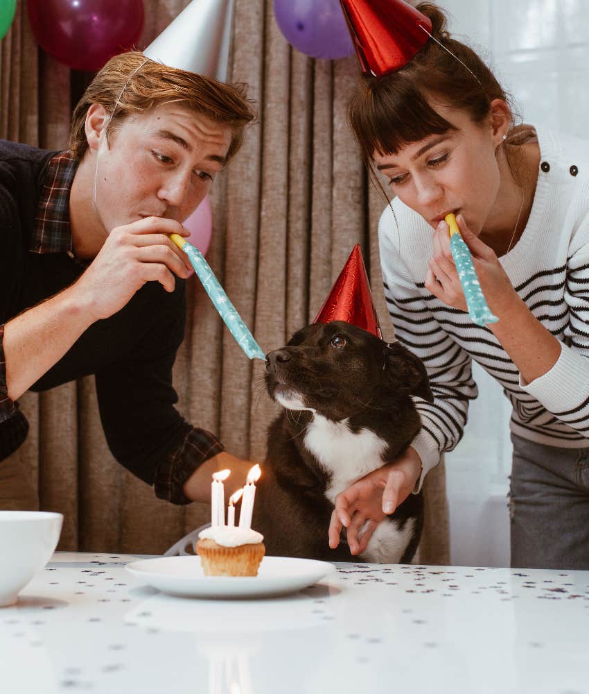 fun couple celebrate dog's birthday for inner strength