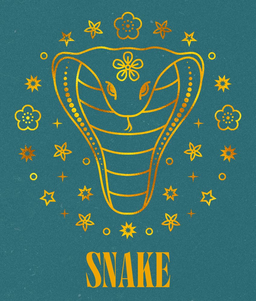 snake everything falls place chinese zodiac signs april 4, 2026