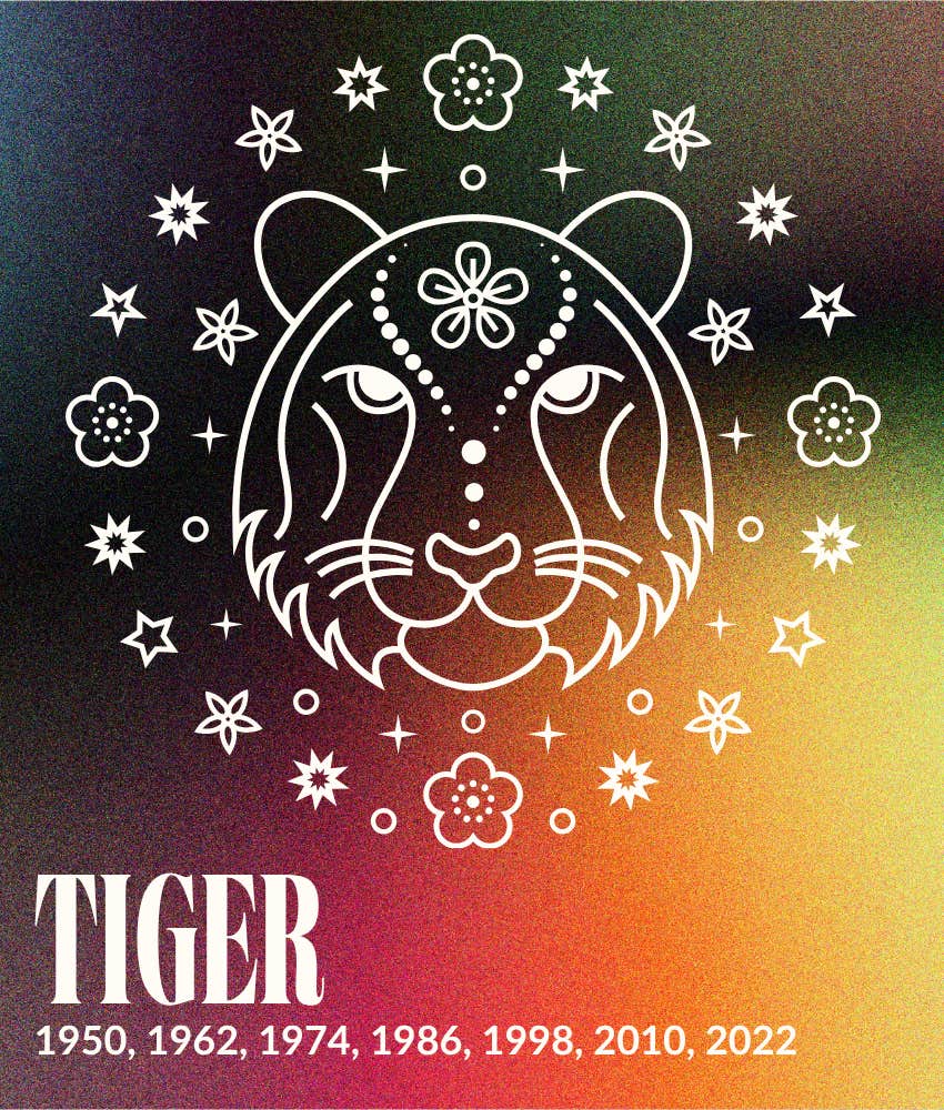 tiger loneliness ends chinese zodiac signs may 1, 2026