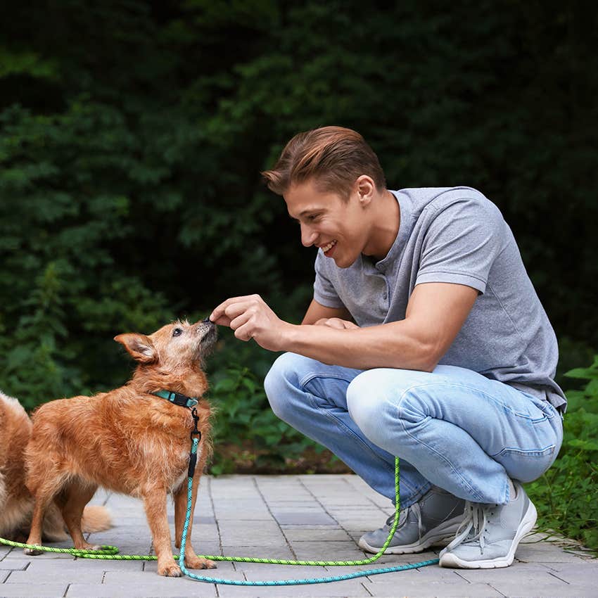 man feeding dog a treat after walk 
