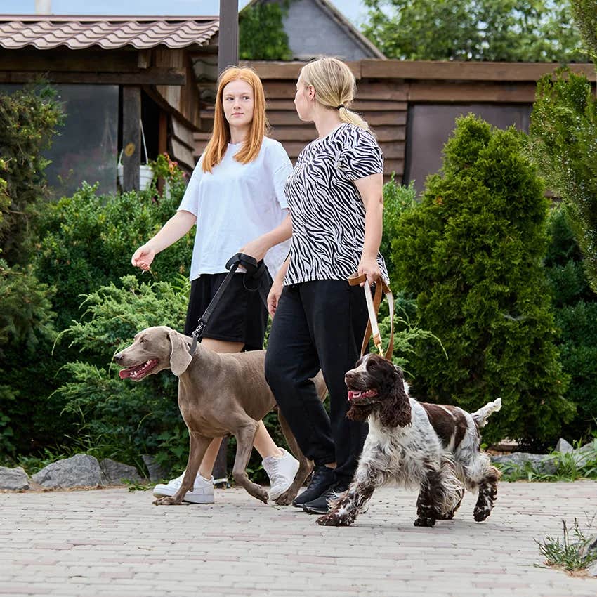 women talking about engineer's dog walking business