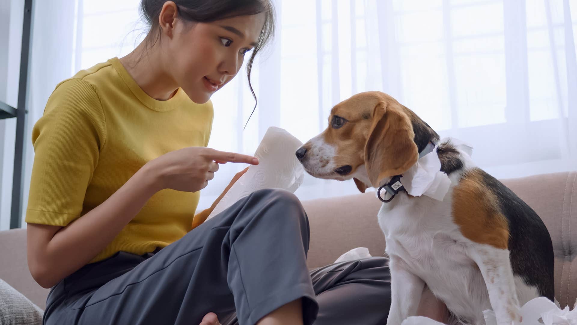 dog owner who wants too much control scolding her dog