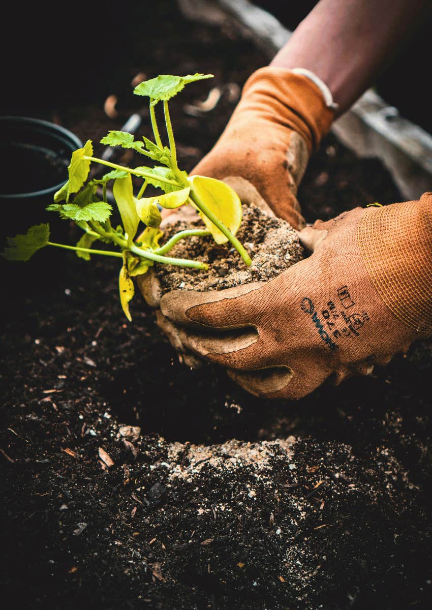 gardening hobby