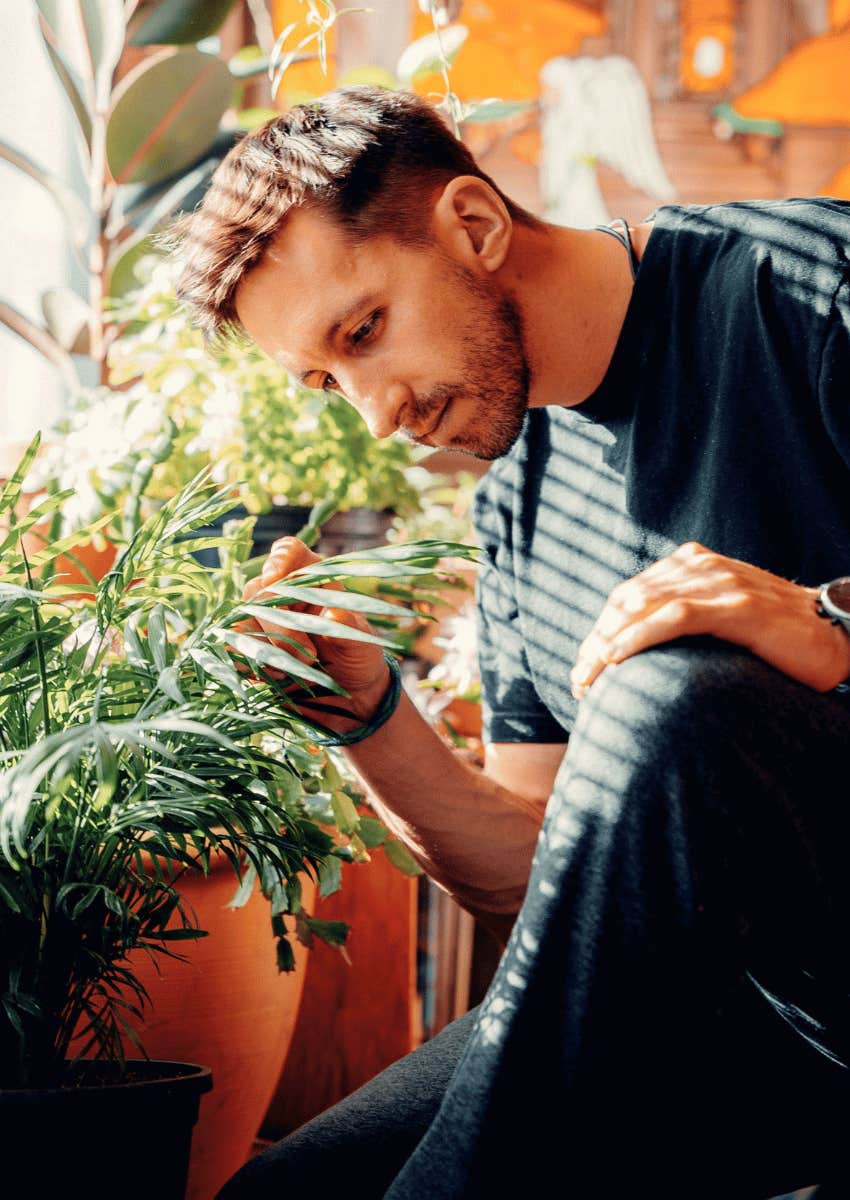 man caring for his house plants