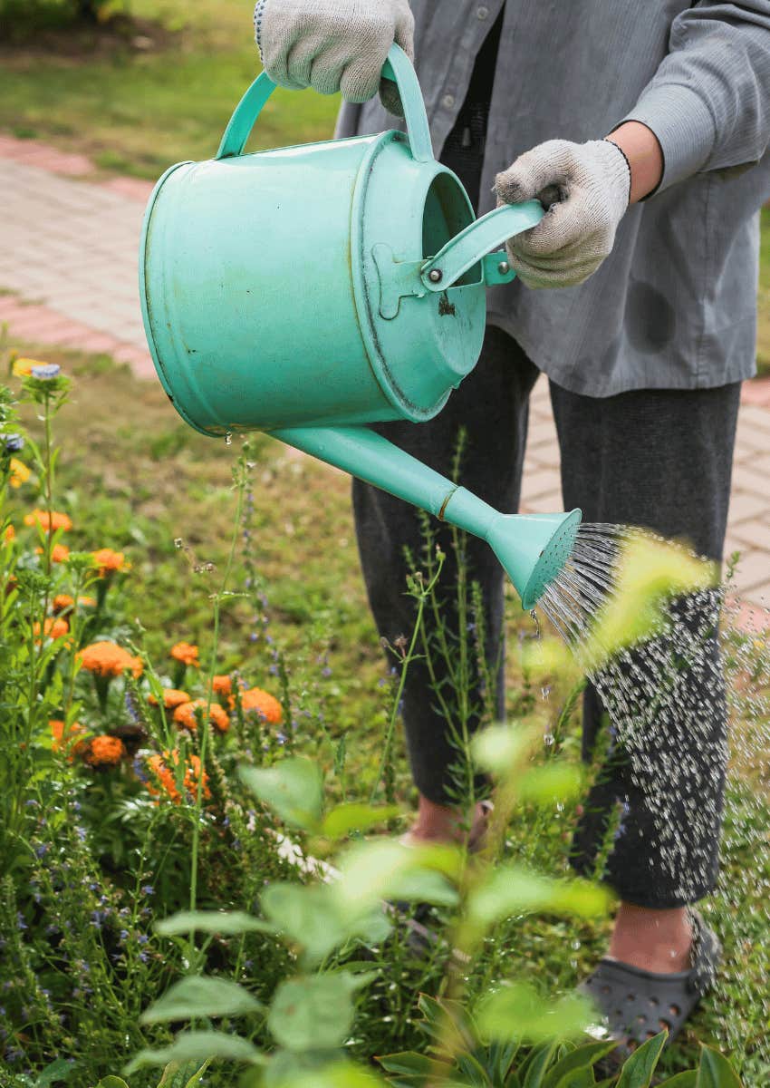 person using a water can on her home garden