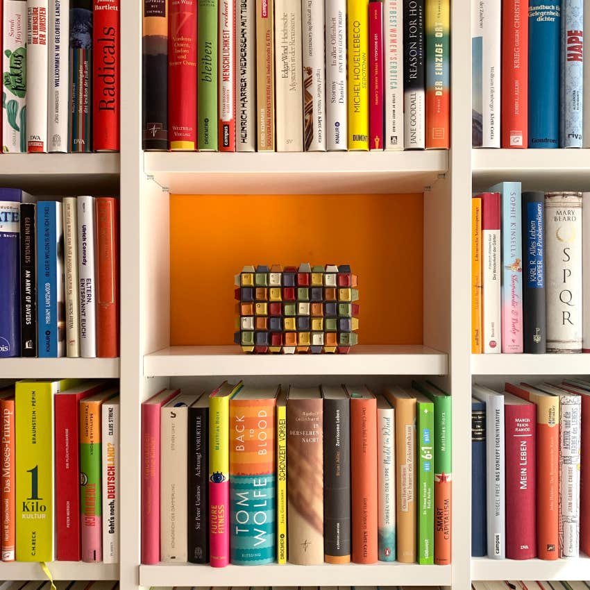 you can learn a lot about a person by the artwork on their bookshelf