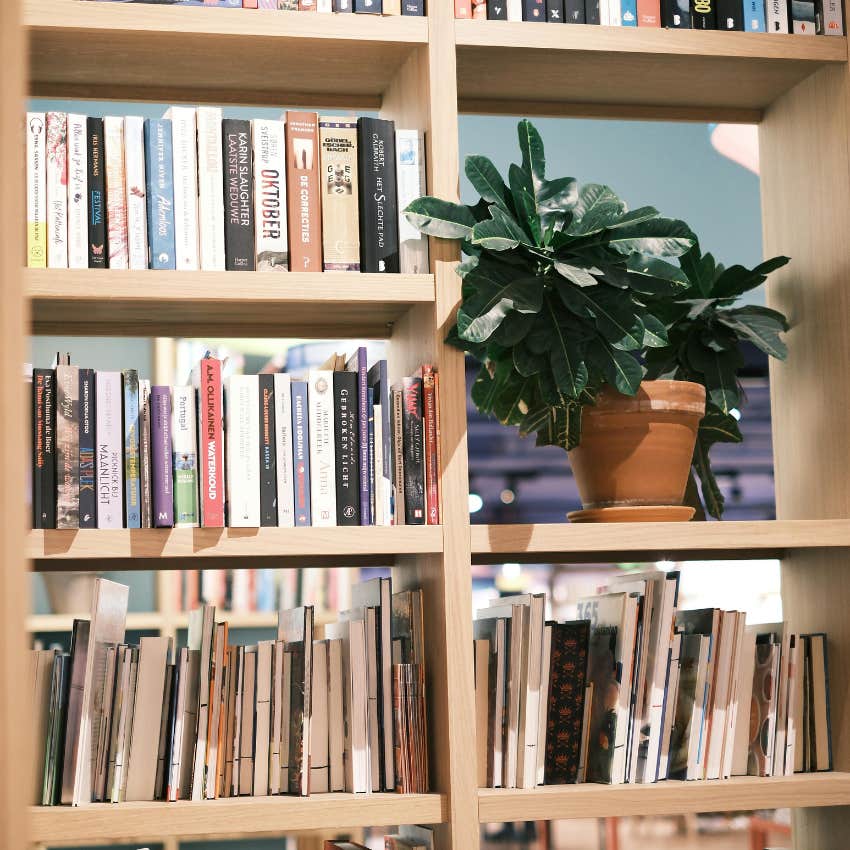 potted plants on someone's bookshelf