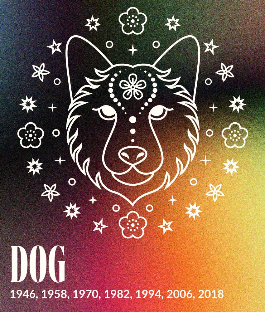 dog august 2026 monthly chinese horoscope animal sign