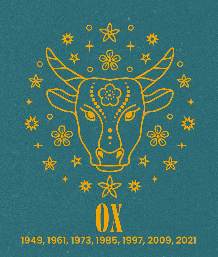 ox chinese zodiac signs wealth success august 24, 2026