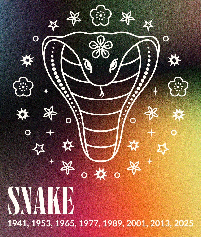 snake august 2026 monthly chinese horoscope animal sign