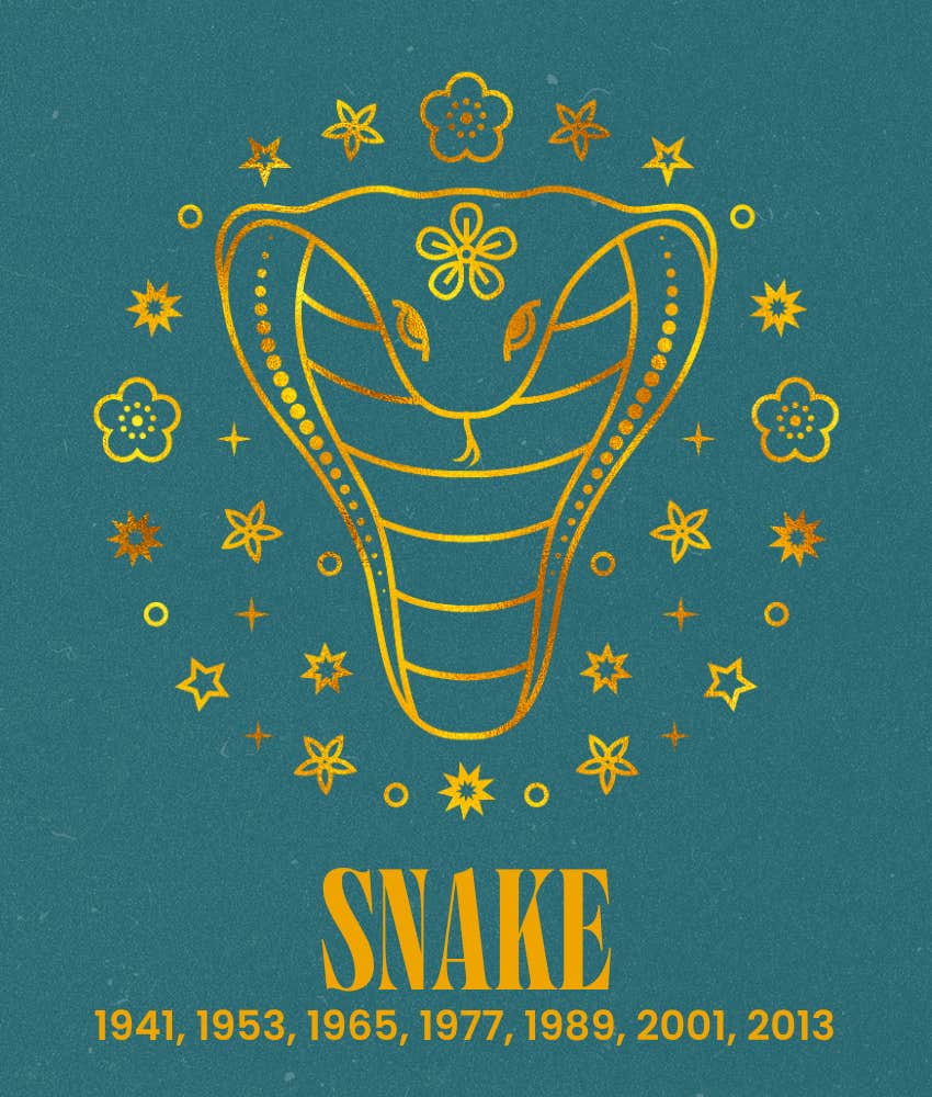 snake chinese zodiac signs everything falls place august 19, 2026