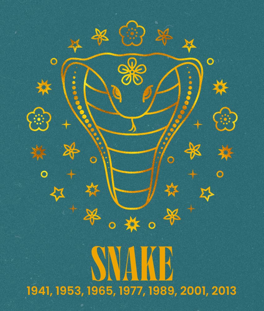snake chinese zodiac signs life easier august 31 - september 6, 2026