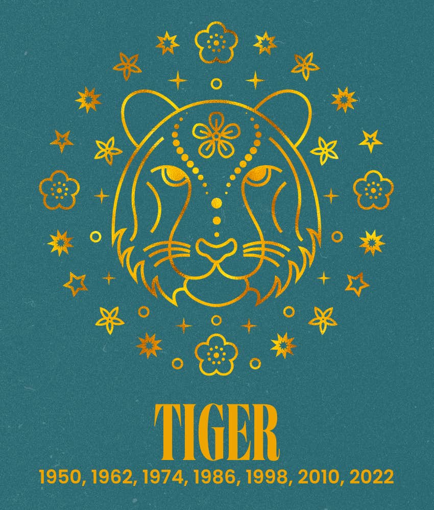 tiger chinese zodiac signs life easier august 28, 2026