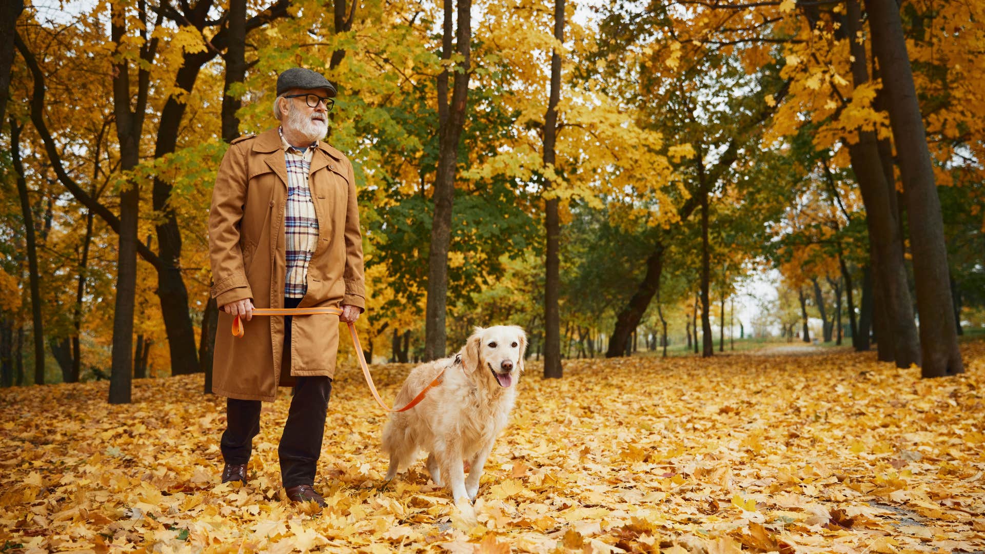 retired introvert man taking his dog for a walk on a fall day
