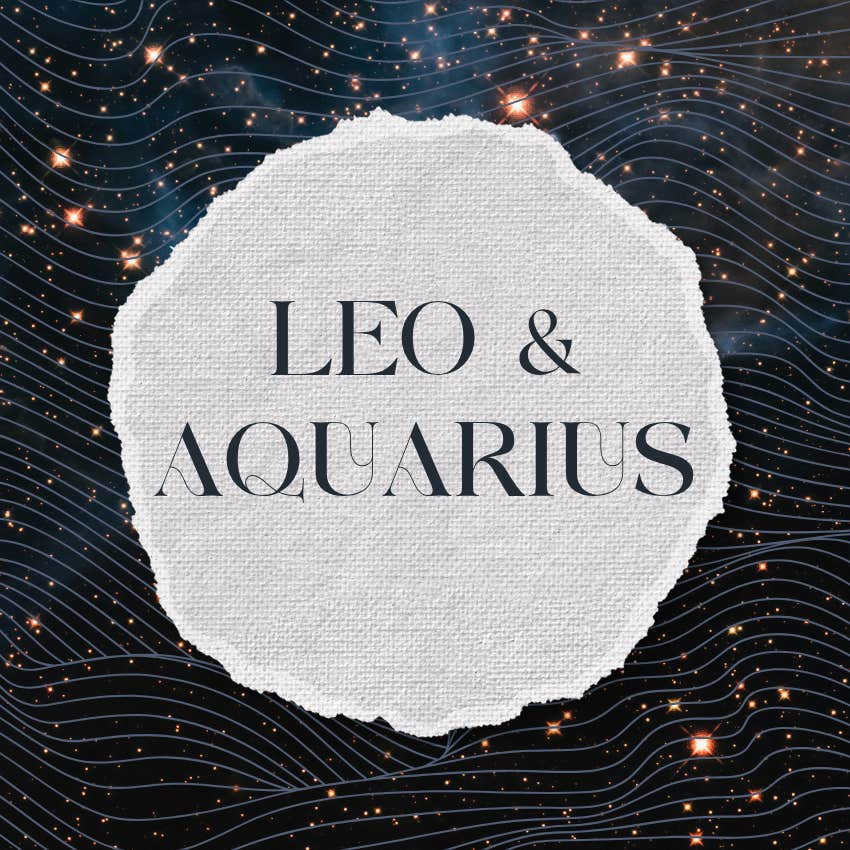 leo aquarius zodiac signs best making something nothing