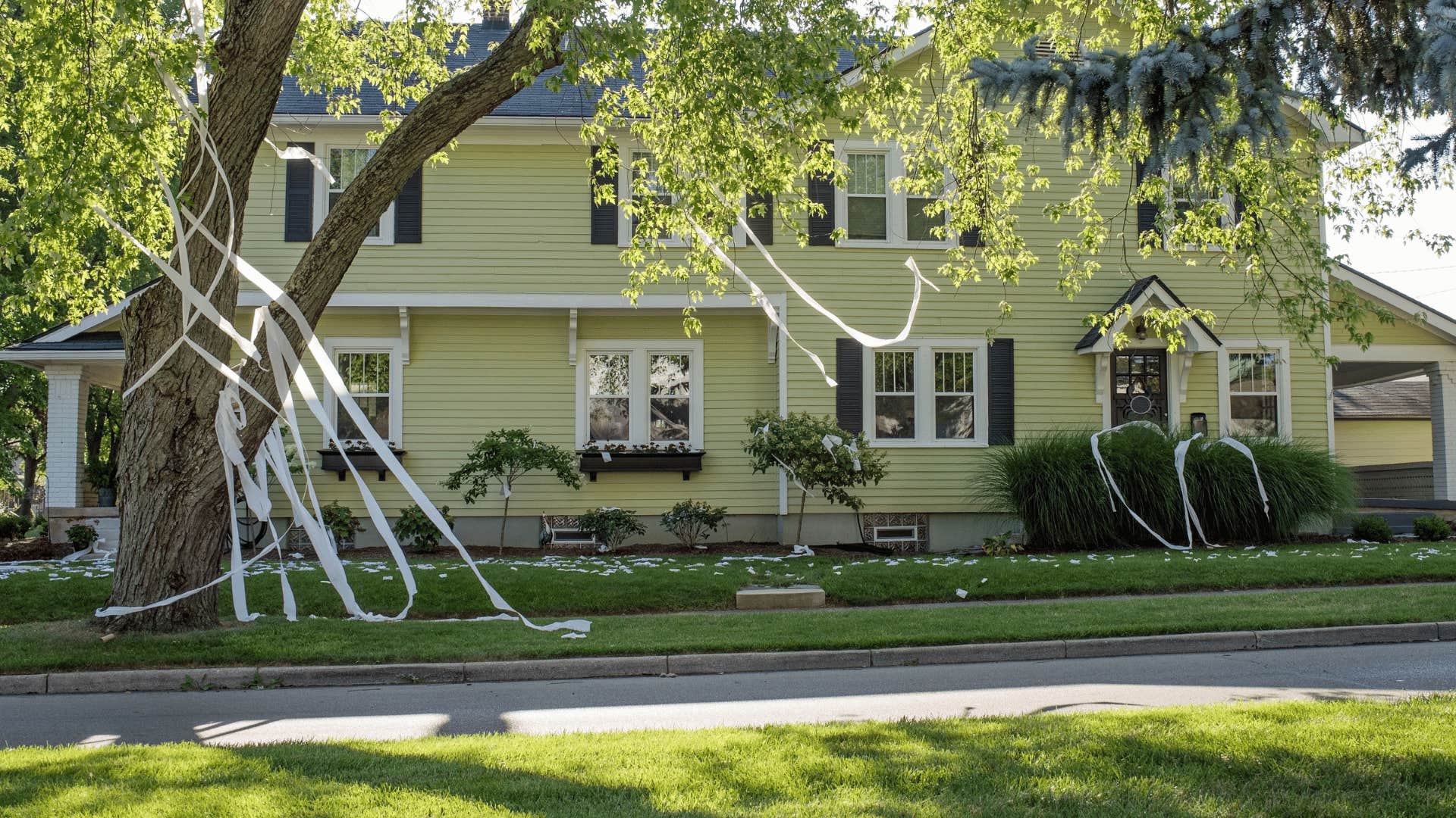 TP over trees and a house