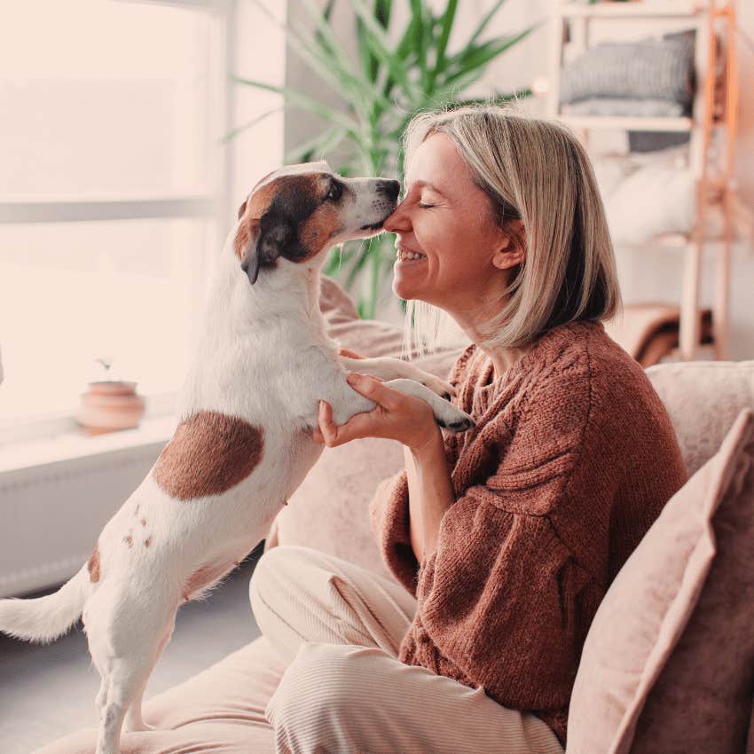 dog drawn to kind person