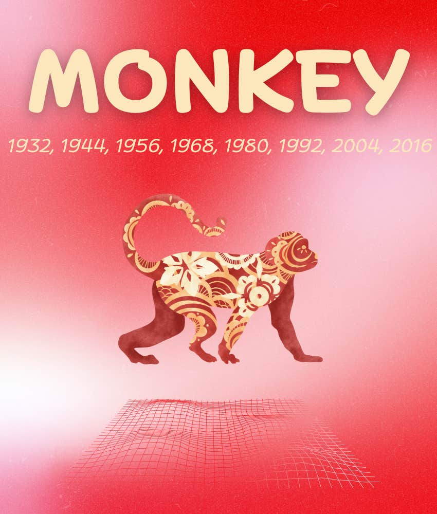 monkey chinese zodiac signs life easier october 4, 2026