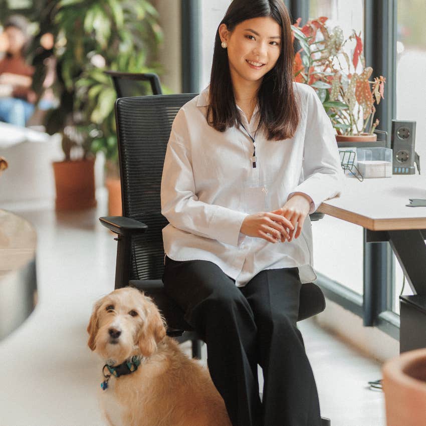 dog in a workplace