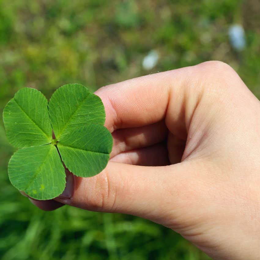 person collecting good luck charms