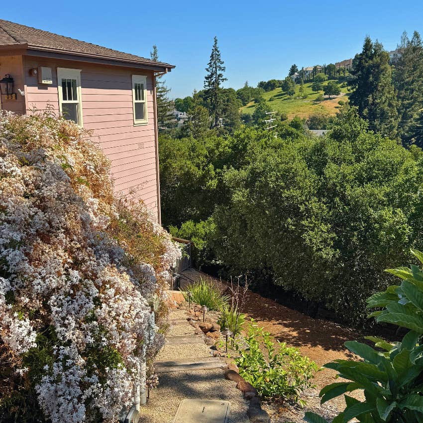 too much scenery at the back of a house
