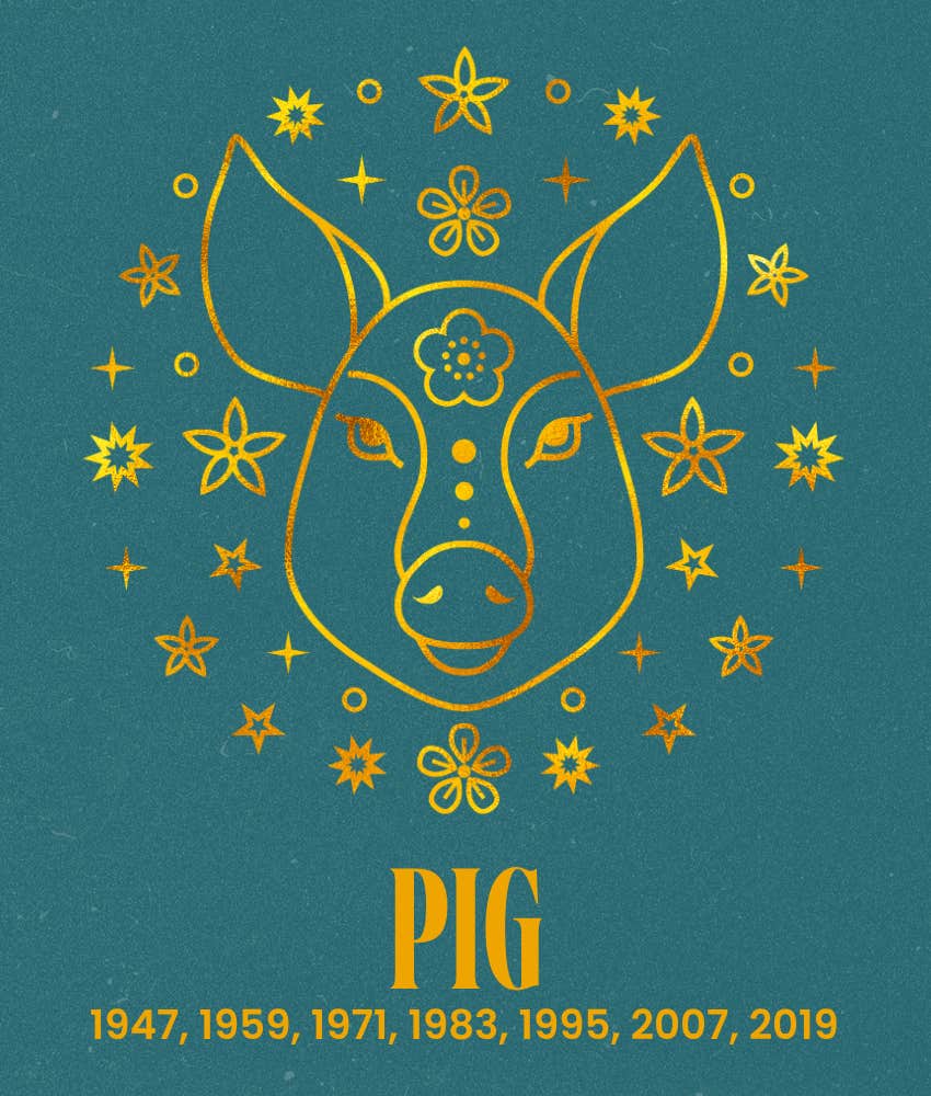pig chinese zodiac signs wealth success October 12 18 2026