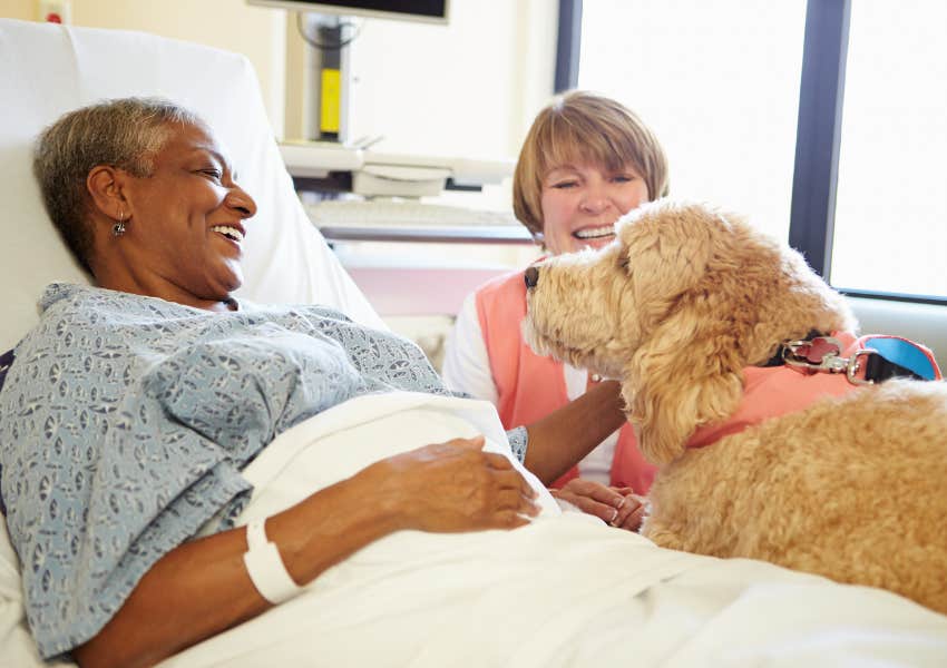 dog visits a patient in a hospital bed