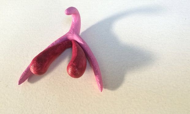 clitoris sex ed