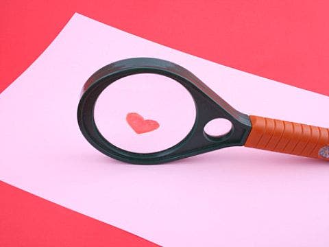 looking for love looking for love