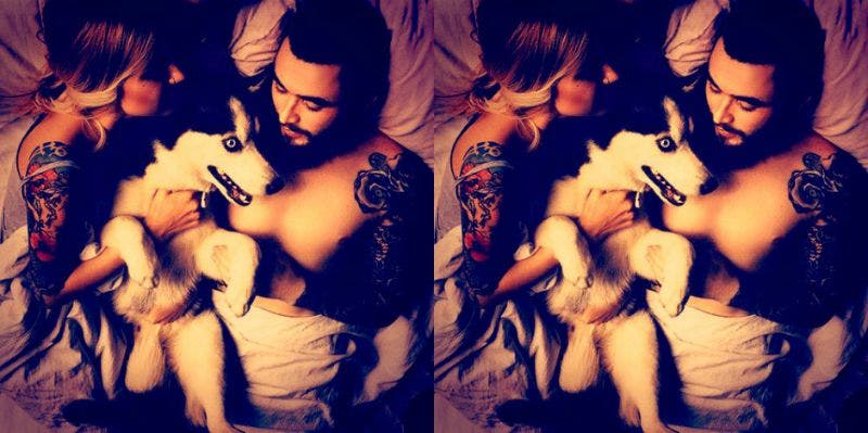 Relationship Coach: Pets & Unconditional Love Relationship Coach: Pets & Unconditional Love