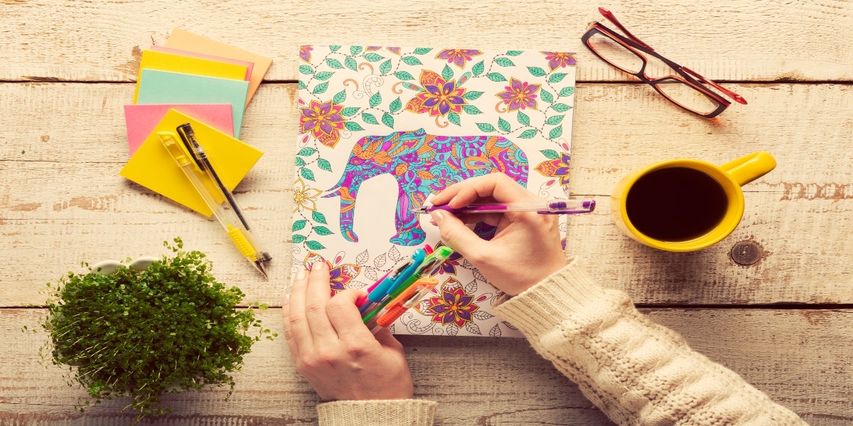 adult coloring book adult coloring book