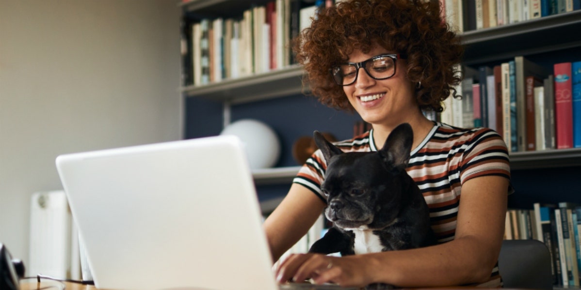 woman in glasses working at computer with French bulldog on lap