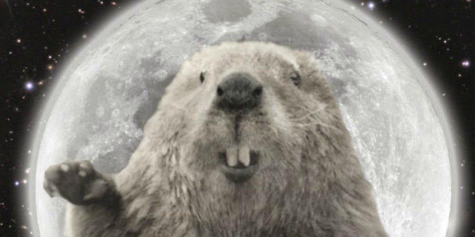 Beaver Beaver moon meaning