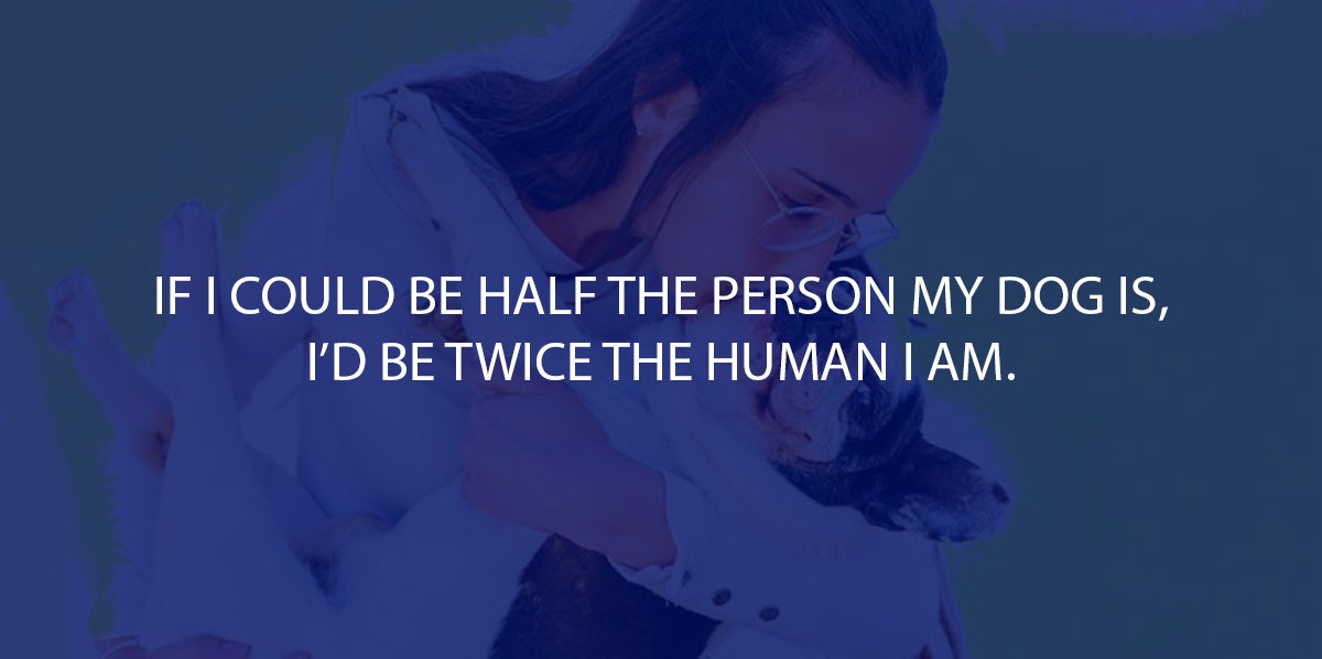 50 Best Dog Quotes For Animal Lovers