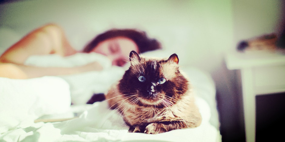 How Choosing To Sleep With Pets Affect Your Relationship, According To The Enneagram