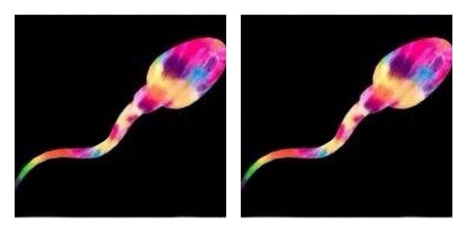 sperm bank app sperm bank app