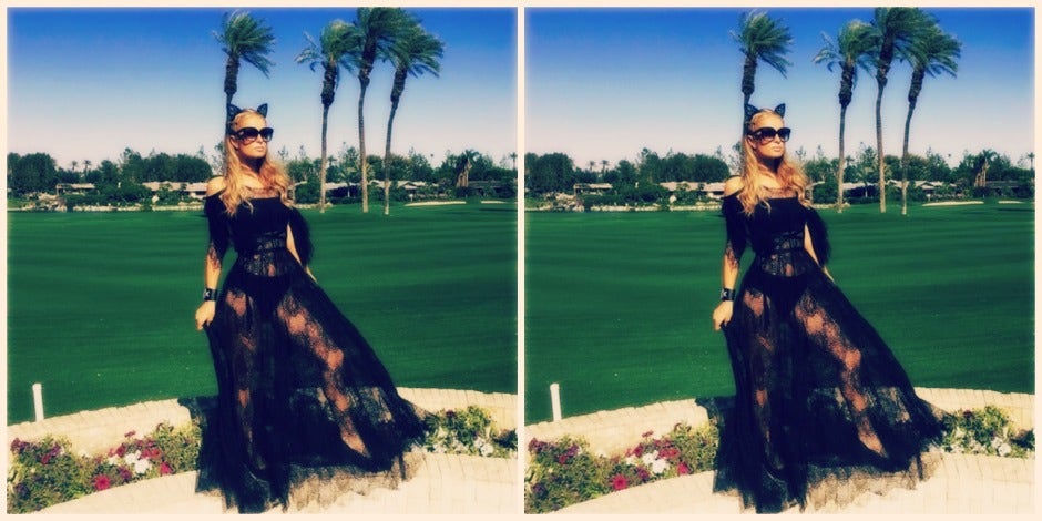 paris hilton donald trump