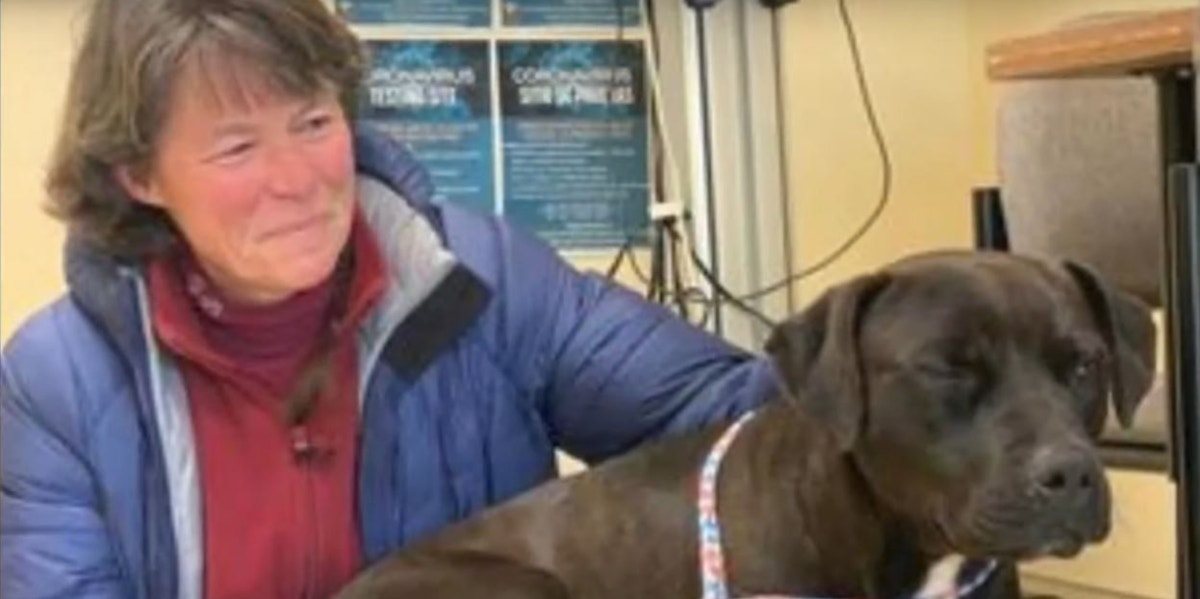 Russ the dog and rescuer Dog Who Went Missing For 4 Months Survives Fire And Snowstorm To Be Reunited With His Owner