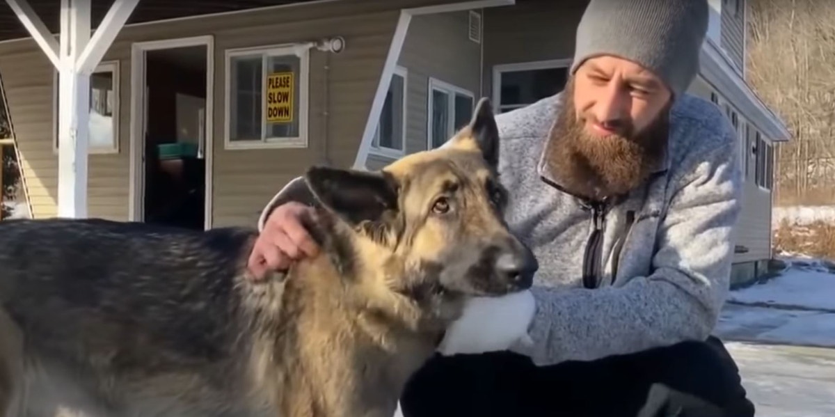 Dog Saves Lives By Bringing First Responders To Victims Of Rollover Car Crash Tinsley and Cam Laundry