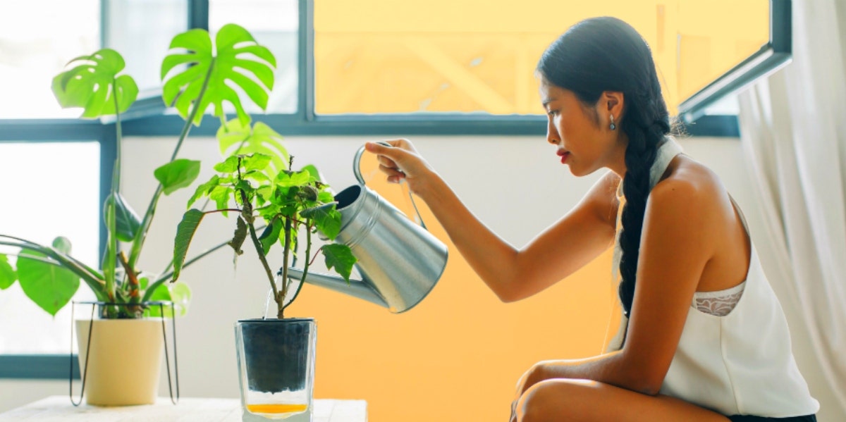 woman inside watering her house plants