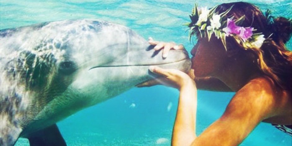 Woman kissing dolphin Woman kissing dolphin