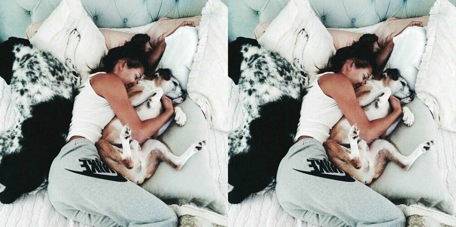 sleeping next to dog sleeping next to dog