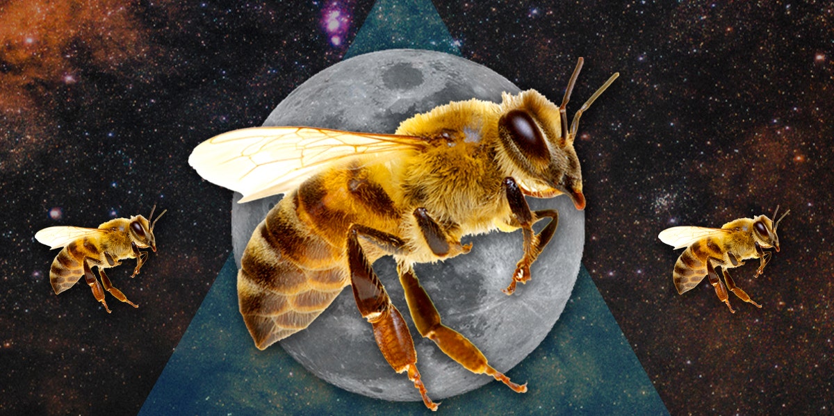 bee symbolism