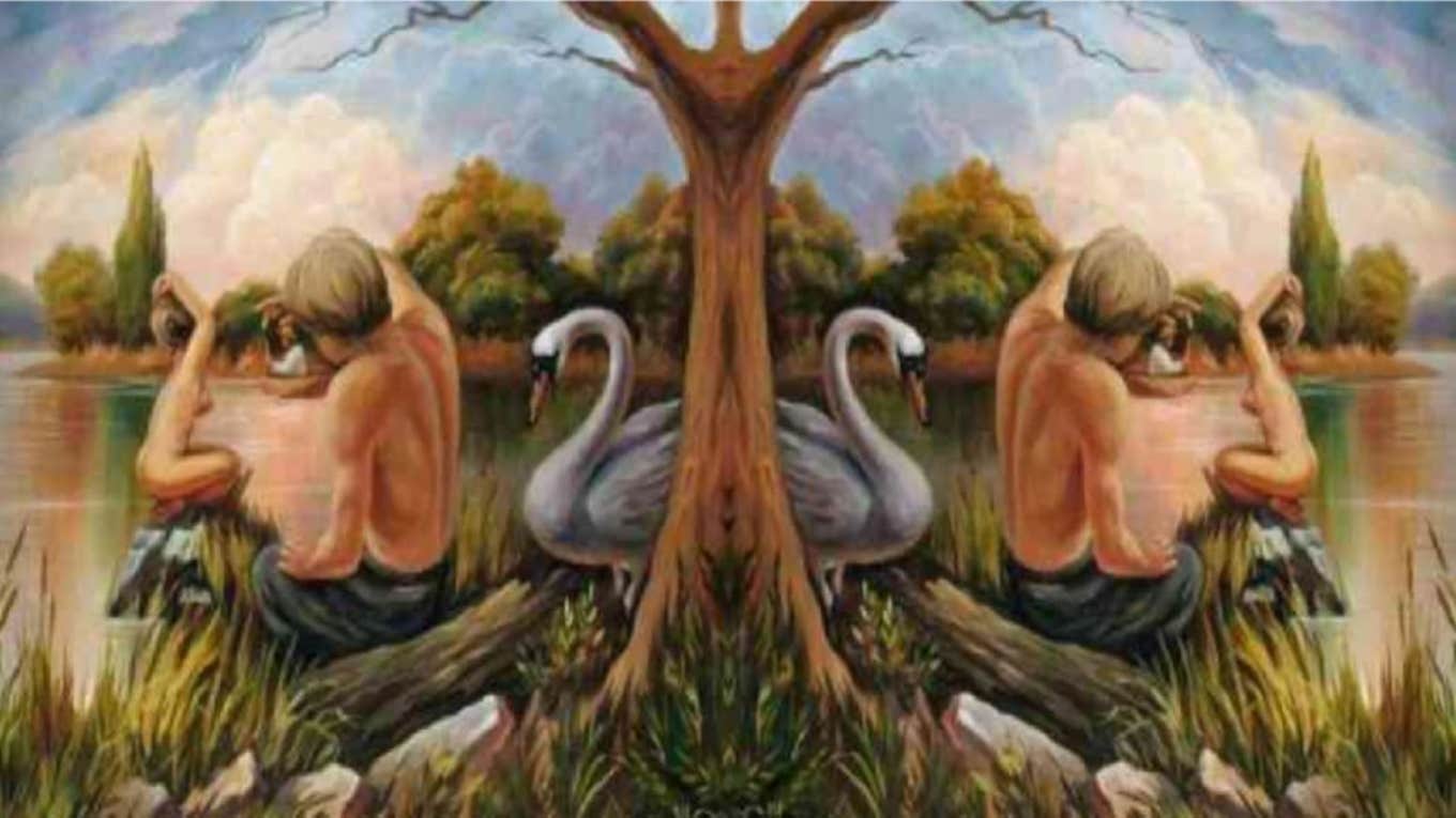 oleg shuplyak optical illusion